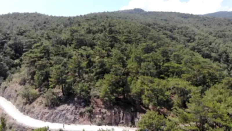 Muğla'da ormanlık alanlara giriş 1 Ekim'e kadar yasaklandı