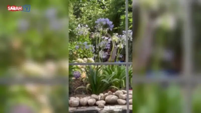 Neslihan Atagül, Kadir Doğulu'nun Babalar Günü'nü oğlu Aziz'le videosuyla kutladı