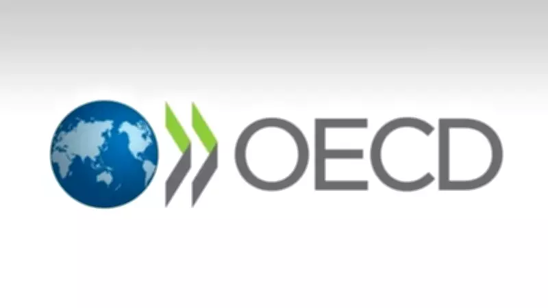 OECD: Küresel Çelik Sektörünün İki Temel Sorunu Var