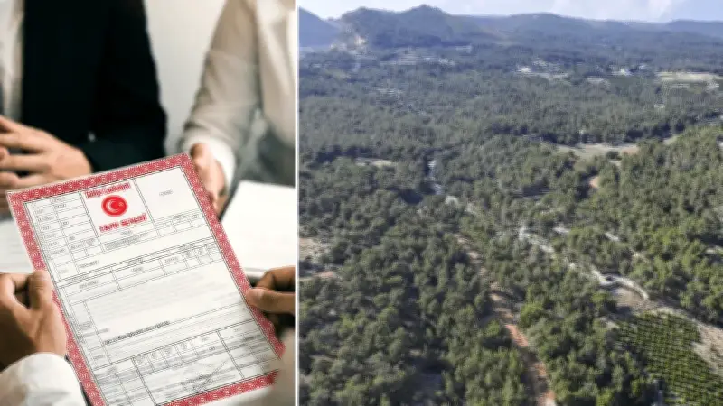 Orman Kanunu'nda kritik değişiklik: 3 milyon vatandaşın tapu sorunu çözülüyor