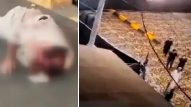 Pakistan'da Camiye Dalan Araç: 2 Ölü, 30 Yaralı