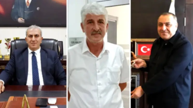 Sahipsiz Köpek Saldırıları: 2 Belediye Başkanına Soruşturma, 1'ine Ön İnceleme