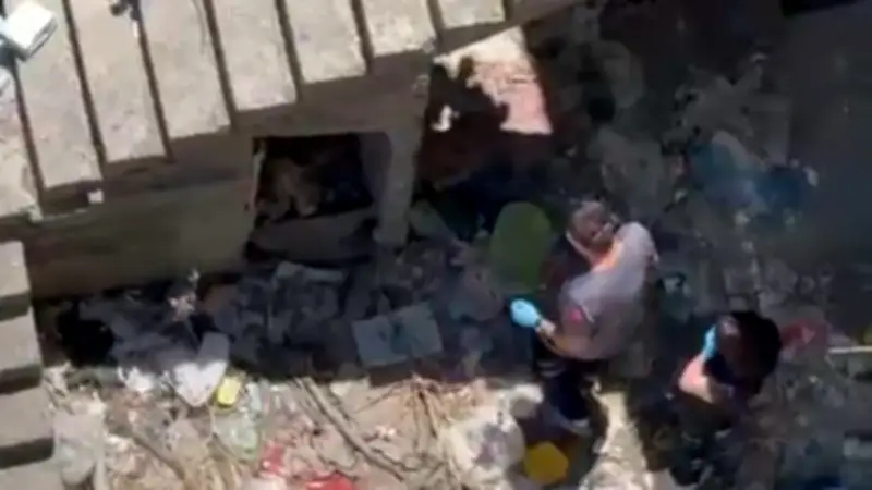 Sarıyer'de Kayıp Kedi Ararken Ceset Buldu: Dehşet Anları