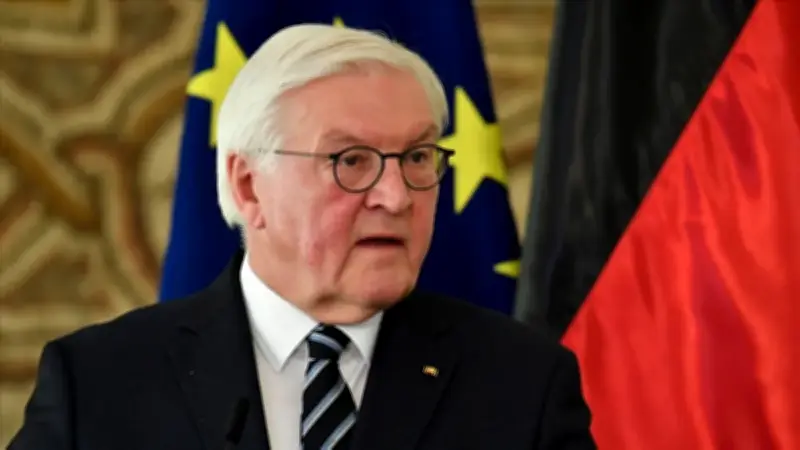 Steinmeier'den BM'ye reform çağrısı: 'Kendini değiştirmeli'