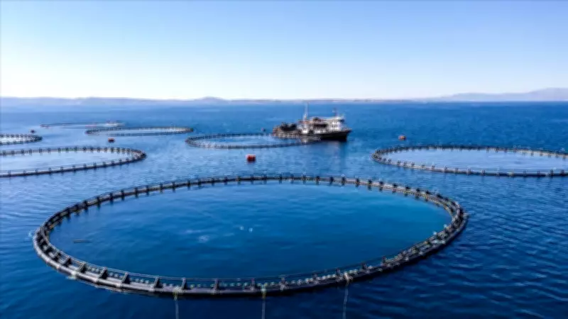 Su ürünleri üretimi 2025'te yüzde 11,1 artarak 1 milyon 37 bin 19 tona ulaştı