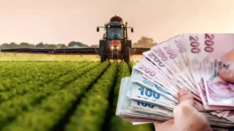 Tarımsal destek ödemeleri hesaplara aktarılıyor