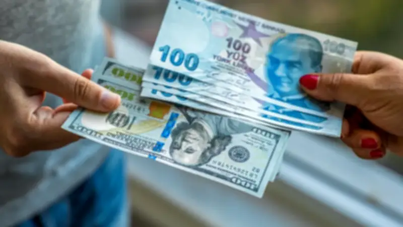 Türk yatırımcıların yurt dışındaki varlığı 72 milyar doları aştı