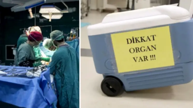Türkiye'de 2025'te Sadece 21 Akciğer Nakli Yapıldı: Donör Krizi Büyüyor