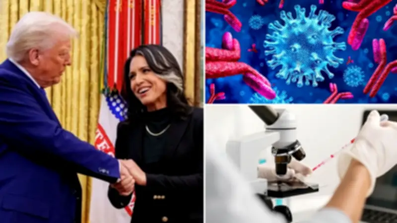 Tulsi Gabbard: ABD 30'dan Fazla Ülkede 120'den Fazla Biyoloji Laboratuvarını Finanse Ediyor