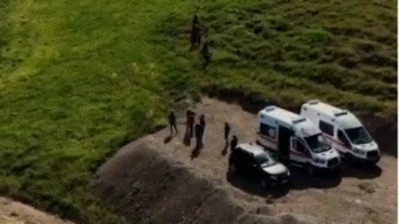 Tunceli'de mantar toplayanlara ayı saldırdı: 3 yaralı