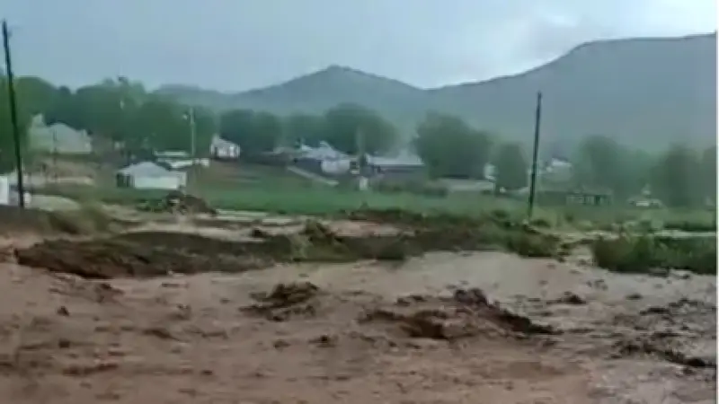 Van'ın Saray İlçesinde Şiddetli Sağanak Sele Yol Açtı