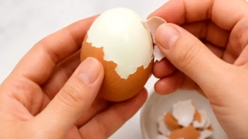 Yumurta Kabuğu Nasıl Kolay Soyulur? İşte Bilimsel Cevap