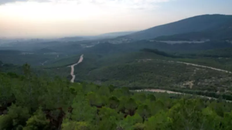 İzmir'de ormanlık alanlara giriş 5 ay yasaklandı