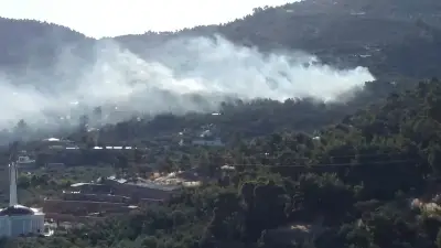 Çanakkale Ayvacık'ta zeytinlik yangını kontrol altına alındı