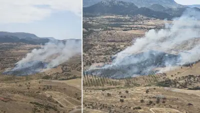 Çanakkale Ezine'de Orman Yangını: 1 Saatte Kontrol Altına Alındı