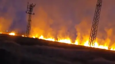 Şanlıurfa'da 1 Günde 227 Anız Yangını: Ekipler Soğutma Çalışmalarını Sürdürüyor