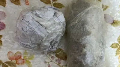 Çapkanlar Suç Örgütüne Operasyon: 5 Milyar Liralık Yasadışı Bahis Ağı Çökertildi, 24 Gözaltı