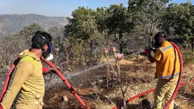 Diyarbakır Silvan'da Orman Yangını 4 Saatte Kontrol Altına Alındı
