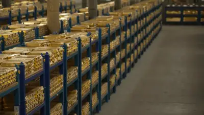 Dünyanın en büyük altın rezervleri açıklandı! Türkiye 535 tonla 12. sırada