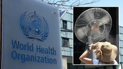 DSÖ: Avrupa'da 1300'den Fazla Kişi Sıcaklıktan Hayatını Kaybetti