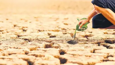 DSÖ: Küresel Isınma Salgın Riskini Artırıyor, COP31 Fırsat