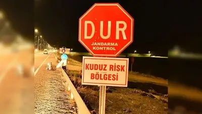 Edremit'te Kuduz Vakası: 7 Mahallede Karantina ve Kısıtlamalar