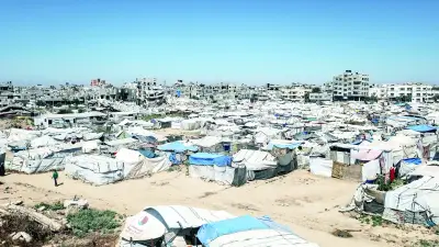 Gazze'de Yaz Sıcağı ve Haşereler Filistinlilerin Hayatını Zorlaştırıyor