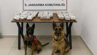 Hakkari'de 21 Kilo 650 Gram Toz Esrar Ele Geçirildi, 2 Gözaltı