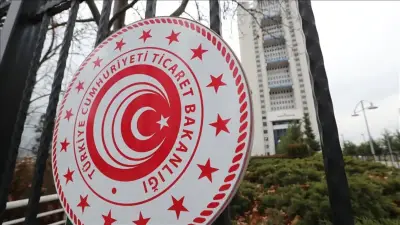 Çin, Malezya ve Vietnam Menşeli Solar Cam İthalatına Damping Soruşturması
