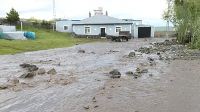 Kars'ta sel 6 köyde hasara yol açtı, hayvanlar telef oldu