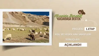 Kırsalda Bereket Küçükbaşa Destek Projesi 1. Etap Sonuçları Açıklandı