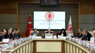 Kızılay'a Yeni Düzenleme: Uluslararası Standartlara Uyum Hedefleniyor