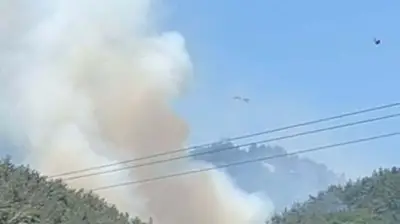 Manisa Soma'da Orman Yangını: Alevlere Havadan ve Karadan Müdahale