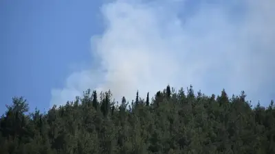 Manisa Turgutlu'da orman yangını kontrol altına alındı
