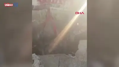 Mardin'de foseptik çukuruna düşen inek itfaiye ekiplerince kurtarıldı