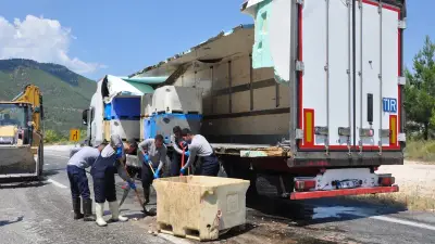 Mersin'de balık atığı yüklü tırın dorsesi kırıldı, yola saçıldı
