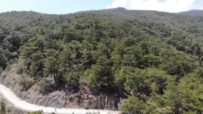 Muğla'da ormanlık alanlara giriş 1 Ekim'e kadar yasaklandı