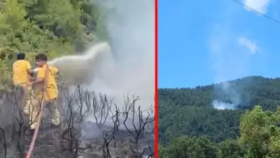 Muğla'da yıldırım kaynaklı 2 orman yangını: Müdahale sürüyor