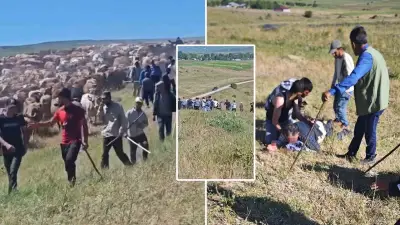 Muş'ta arazi anlaşmazlığı silahlı kavgaya dönüştü: 2 yaralı