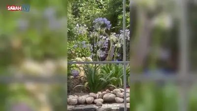 Neslihan Atagül, Kadir Doğulu'nun Babalar Günü'nü oğlu Aziz'le videosuyla kutladı