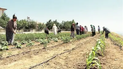 Tarım arazilerinin amaç dışı kullanımına yeni tedbirler