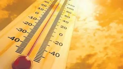 Türkiye bu hafta kavrulacak: Sıcaklıklar 10 derece artacak