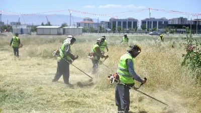 Türkiye'de Yağışlar Yangın Riskini Artırabilir: Uzmanlar Uyarıyor