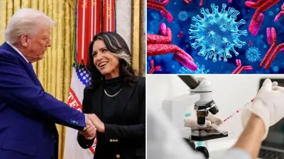 Tulsi Gabbard: ABD 30'dan Fazla Ülkede 120'den Fazla Biyoloji Laboratuvarını Finanse Ediyor