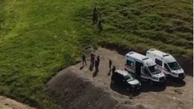 Tunceli'de mantar toplayanlara ayı saldırdı: 3 yaralı