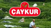 2026 ÇAYKUR Mevsimlik İşçi Alımı Ne Zaman? Başvuru Tarihleri ve Şartlar