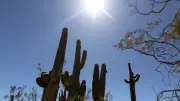 Arizona Sıcağında A Milli Takım: 40 Derecede Dünya Kupası Hazırlığı