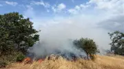 Balıkesir Sındırgı'da arazi yangını kontrol altına alındı
