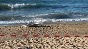 Bartın'da Sahilde İnsansız Hava Aracı Bulundu