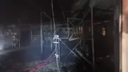Batman'da at çiftliğinde yangın: 3 at telef oldu